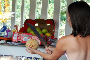 Opening a Coconut