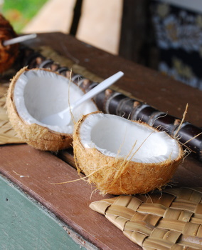 How to Open A Coconut in 3 Steps