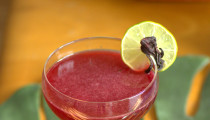 Hibiscus Daiquiri