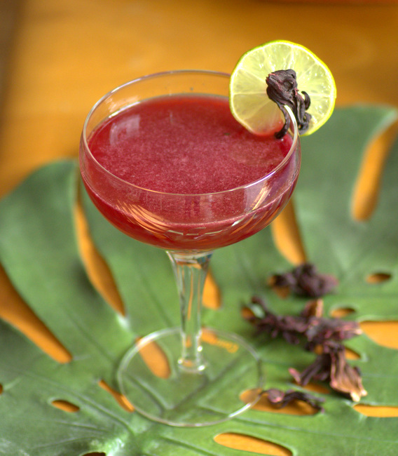 Hibiscus Daiquiri