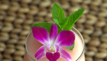 Tiki Frosé