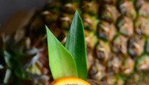 Pineapple-Infused Negroni